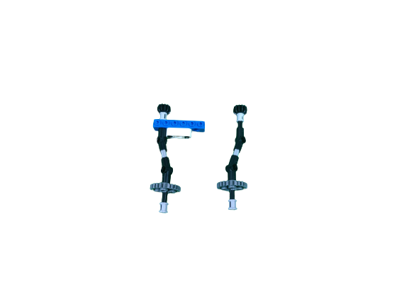 Foot