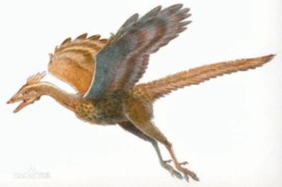 image-20230429201755767